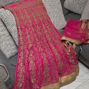 Elegant Pink and Gold Embroidered Skirt